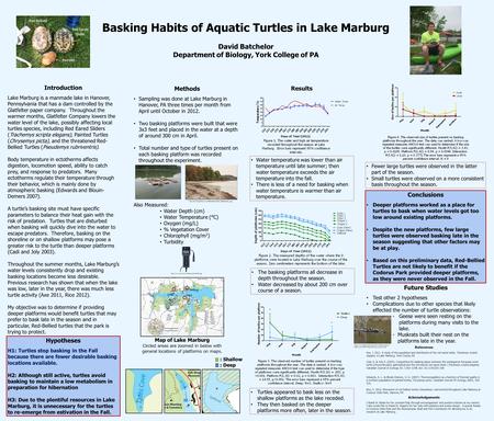 Basking Habits of Aquatic Turtles in Lake Marburg David Batchelor Department of Biology, York College of PA Painted Red Eared Slider Red Bellied Hypotheses.