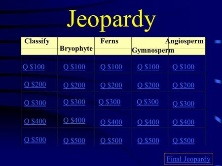 Jeopardy Classify Bryophyte Ferns Gymnosperm Angiosperm Q $100 Q $200 Q $300 Q $400 Q $500 Q $100 Q $200 Q $300 Q $400 Q $500 Final Jeopardy.