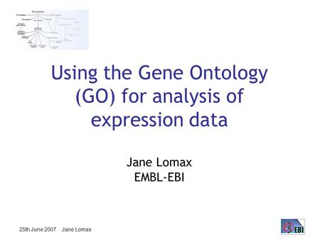25th June 2007 Jane Lomax Using the Gene Ontology (GO) for analysis of expression data Jane Lomax EMBL-EBI.