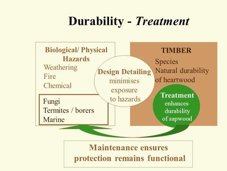 Durability - Treatment Biological/ Physical Hazards Weathering Fire Chemical TIMBER Species Natural durability of heartwood Maintenance ensures protection.