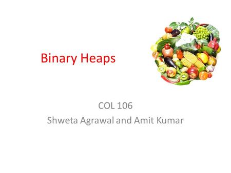 COL 106 Shweta Agrawal and Amit Kumar