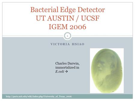 VICTORIA HSIAO 1 Bacterial Edge Detector UT AUSTIN / UCSF IGEM 2006  Charles Darwin, immortalized.