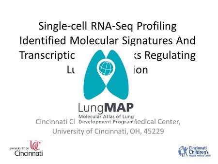 Single-cell RNA-Seq Profiling Identified Molecular Signatures And Transcriptional Networks Regulating Lung Maturation Yan Xu Sept, 8, 2014 Cincinnati Children’s.