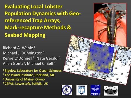 Evaluating Local Lobster Population Dynamics with Geo- referenced Trap Arrays, Mark-recapture Methods & Seabed Mapping Richard A. Wahle 1 Michael J. Dunnington.