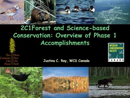 2C1Forest and Science-based Conservation: Overview of Phase 1 Accomplishments Justina C. Ray, WCS Canada.