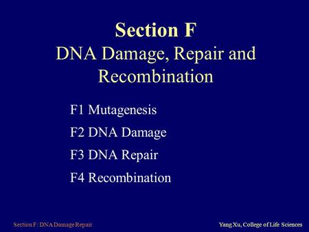 Section F DNA Damage, Repair and Recombination