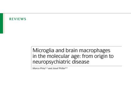 Microglia are tissue-resident macrophages in the CNS.