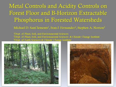 Metal Controls and Acidity Controls on Forest Floor and B-Horizon Extractable Phosphorus in Forested Watersheds Michael D. SanClements 1, Ivan J. Fernandez.