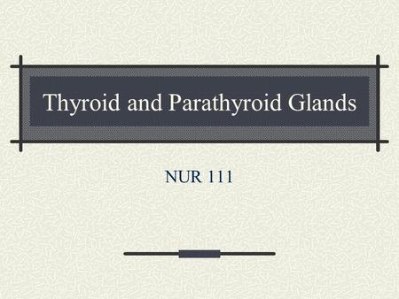 Thyroid and Parathyroid Glands NUR 111. Functions of the Thyroid Pg. 1450 Metabolic rate Regulate protein, carbs and fat metabolism Increase RBC production.