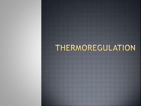 Thermoregulation.