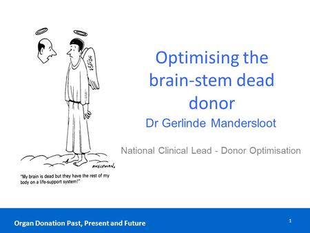 Optimising the brain-stem dead donor