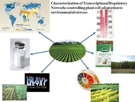 Characterization of Transcriptional Regulatory Networks controlling plant cell adaptation to environmental stresses.