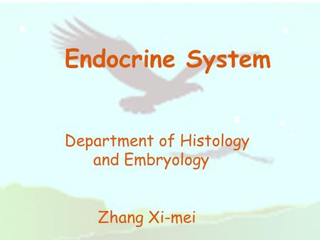 Endocrine System Department of Histology and Embryology Zhang Xi-mei.