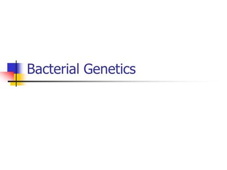 Bacterial Genetics.