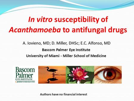In vitro susceptibility of Acanthamoeba to antifungal drugs Bascom Palmer Eye Institute University of Miami - Miller School of Medicine A. Iovieno, MD;