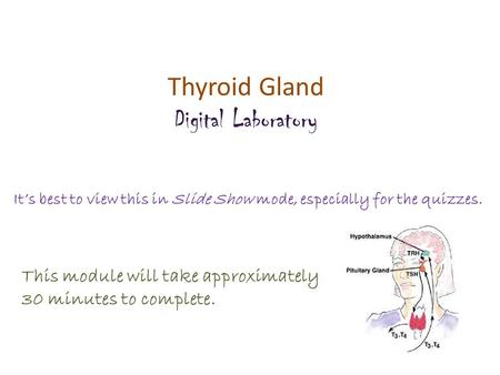 Thyroid Gland Digital Laboratory It’s best to view this in Slide Show mode, especially for the quizzes. This module will take approximately 30 minutes.