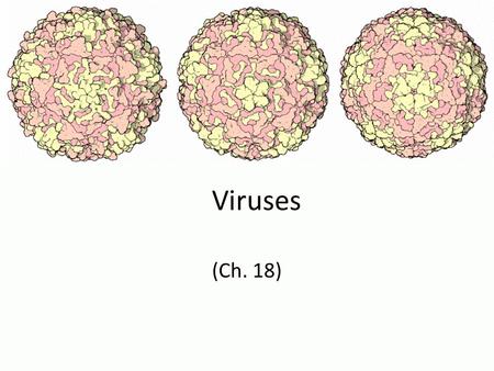 Viruses (Ch. 18).