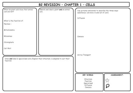 B2 REVISION – CHAPTER 1 – CELLS