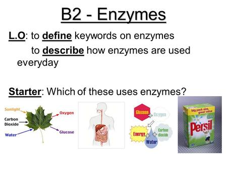 B2 - Enzymes L.O: to define keywords on enzymes to describe how enzymes are used everyday Starter: Which of these uses enzymes?