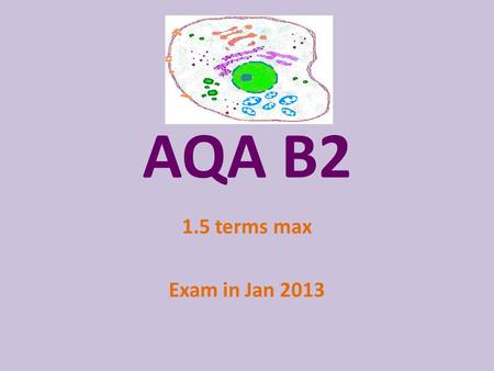 AQA B2 1.5 terms max Exam in Jan 2013.