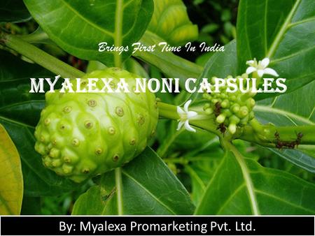 Myalexa Noni Capsules Brings First Time In India