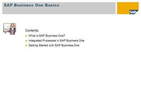 SAP Business One Basics