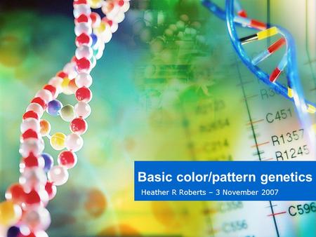 Basic color/pattern genetics Heather R Roberts – 3 November 2007.