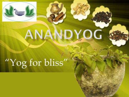 ANANDYOG “Yog for bliss”.