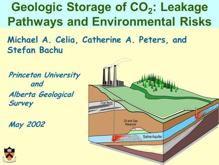 Geologic Storage of CO 2 : Leakage Pathways and Environmental Risks Michael A. Celia, Catherine A. Peters, and Stefan Bachu Princeton University and Alberta.