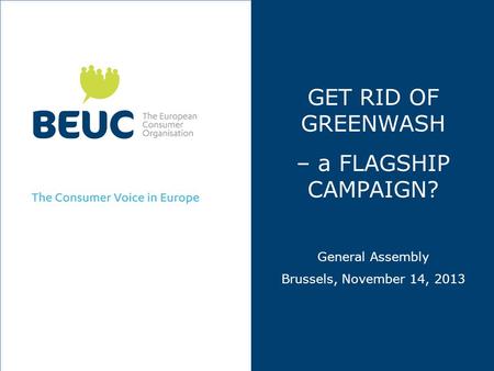 GET RID OF GREENWASH – a FLAGSHIP CAMPAIGN? General Assembly Brussels, November 14, 2013.