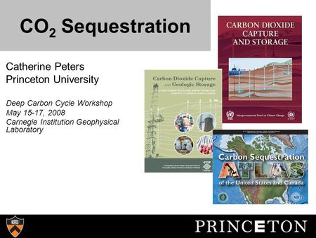 CO 2 Sequestration Catherine Peters Princeton University Deep Carbon Cycle Workshop May 15-17, 2008 Carnegie Institution Geophysical Laboratory.