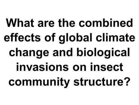 What are the combined effects of global climate change and biological invasions on insect community structure?