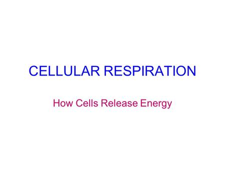 CELLULAR RESPIRATION How Cells Release Energy Aerobic Cellular Respiration 1. Glycolysis 4. Electron Transport System 3. Krebs Cycle Anaerobic Cellular.