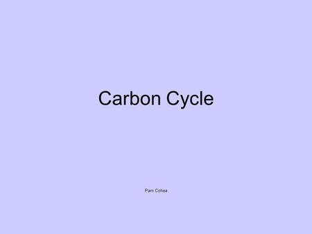 Carbon Cycle Pam Cohea.