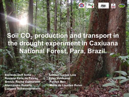 Soil CO 2 production and transport in the drought experiment in Caxiuana National Forest, Para, Brazil. Eleneide Doff Sotta Antonio Carlos Lola Rosiene.