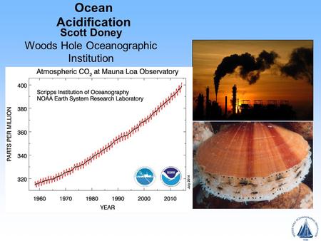 Ocean Acidification Scott Doney Woods Hole Oceanographic Institution.
