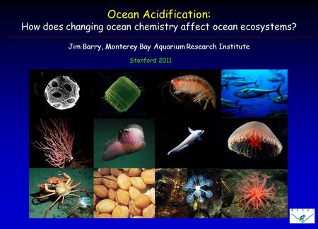 Stanford 2011 Ocean Acidification: How does changing ocean chemistry affect ocean ecosystems? Jim Barry, Monterey Bay Aquarium Research Institute.