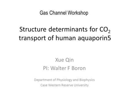 Structure determinants for CO 2 transport of human aquaporin5 Xue Qin PI: Walter F Boron Department of Physiology and Biophysics Case Western Reserve University.