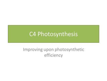 C4 Photosynthesis Improving upon photosynthetic efficiency.