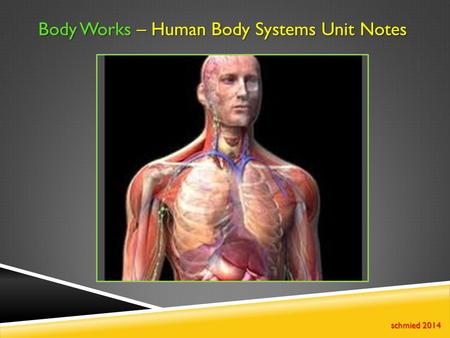 Body Works – Human Body Systems Unit Notes