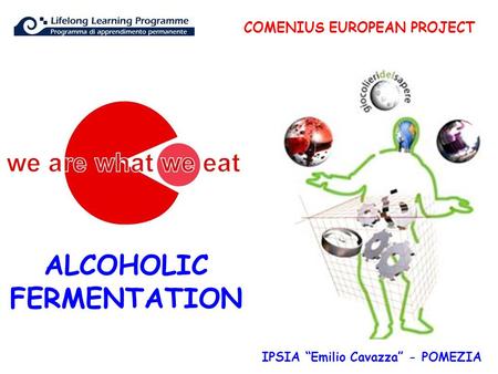 COMENIUS EUROPEAN PROJECT IPSIA “Emilio Cavazza” - POMEZIA ALCOHOLIC FERMENTATION.