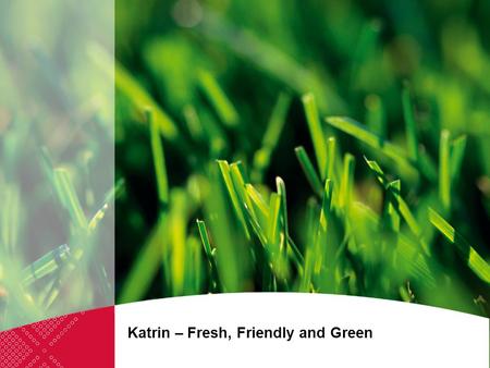 Katrin – Fresh, Friendly and Green. Our strong commitment to the environment forms an integral part of the Metsä Tissue business strategy, as it does.