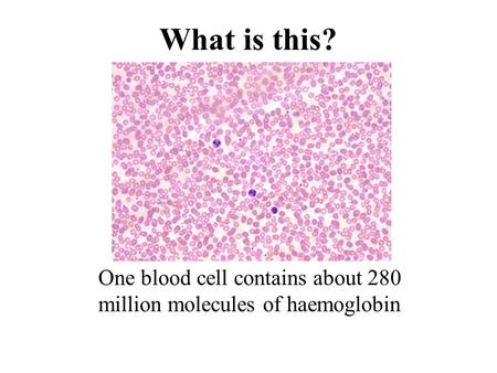One blood cell contains about 280 million molecules of haemoglobin What is this?