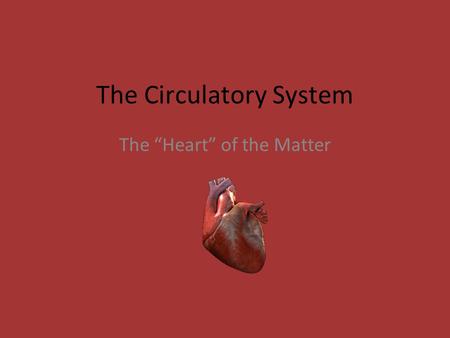 The Circulatory System The “Heart” of the Matter.