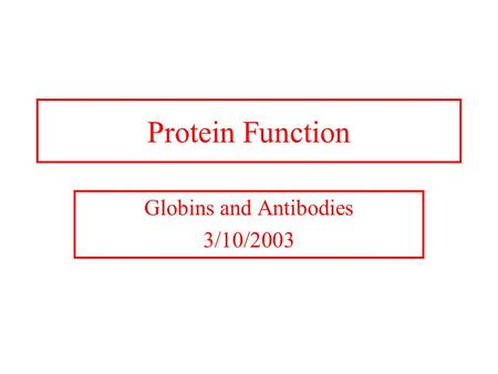 Protein Function Globins and Antibodies 3/10/2003.