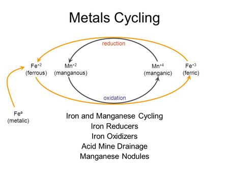 Iron and Manganese Cycling