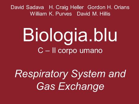 David Sadava H. Craig Heller Gordon H. Orians William K. Purves David M. Hillis Biologia.blu C – Il corpo umano Respiratory System and Gas Exchange.