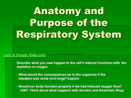 Anatomy and Purpose of the Respiratory System Lack of Oxygen Video Intro Describe what you saw happen to the cell’s internal functions with the depletion.