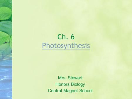 Ch. 6 Photosynthesis Photosynthesis Mrs. Stewart Honors Biology Central Magnet School.