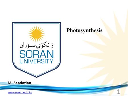 Www.soran.edu.iq M. Saadatian Photosynthesis 1. www.soran.edu.iq Photosynthesis.